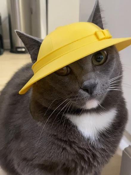 Cat Japanese kindergarten hat - School uniform - cute funny hat - 3D print