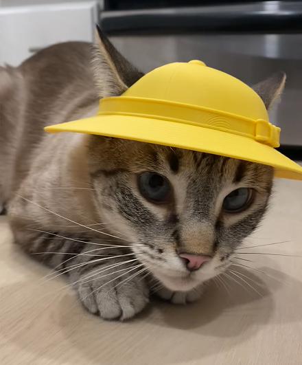 Cat Japanese kindergarten hat - School uniform - cute funny hat - 3D print